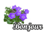 Gif animé bonjour